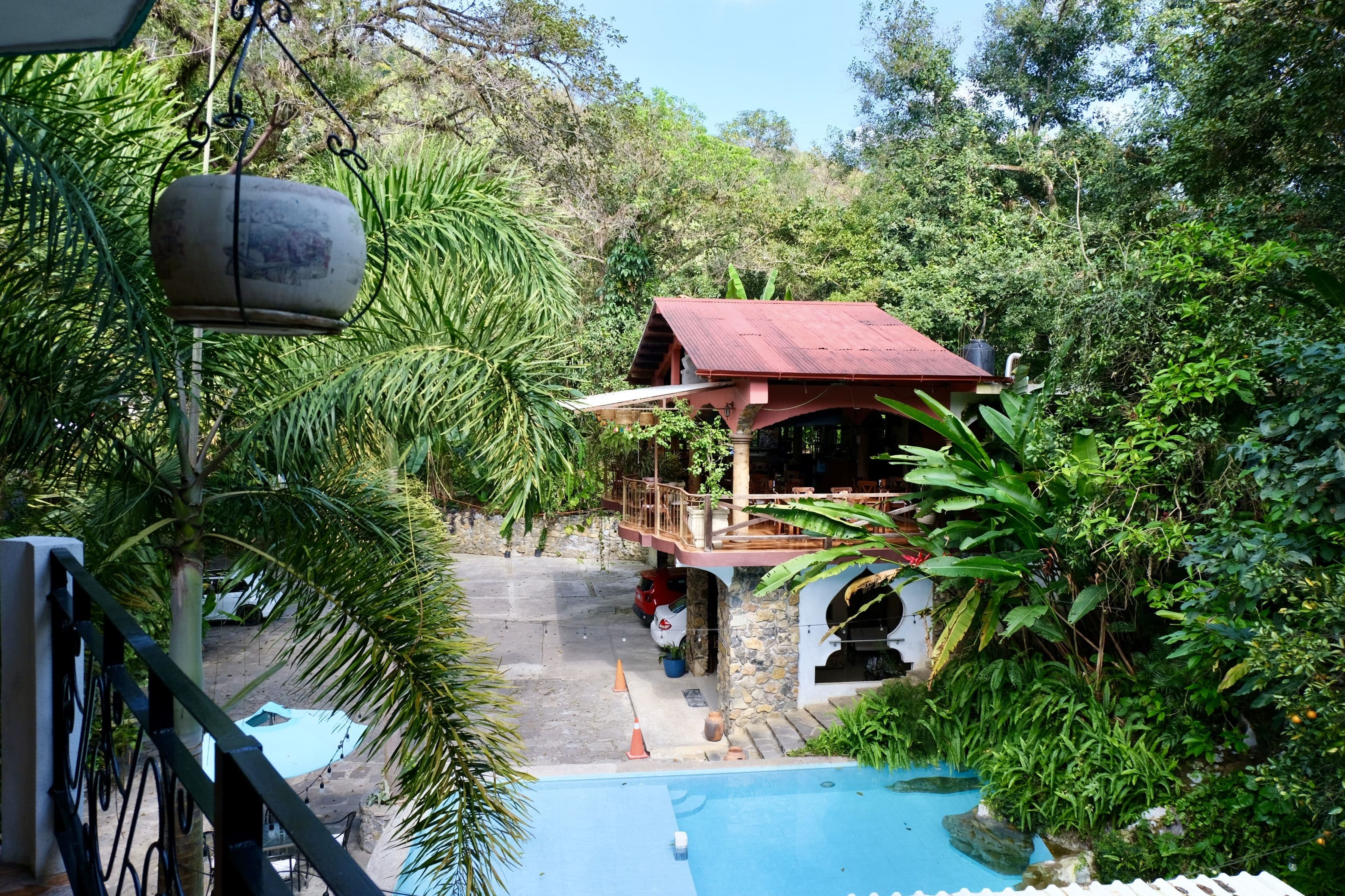 Orquídeas Doble foto 6