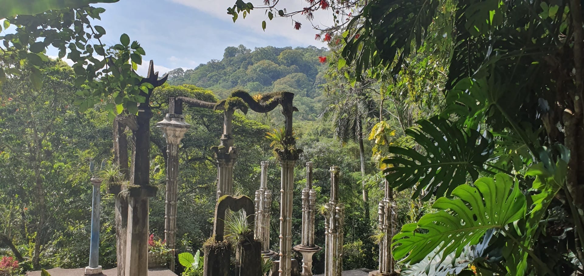 Concrete columns of Las Pozas, Edward James’ surrealist garden, in the jungle of Xilitla, Mexico